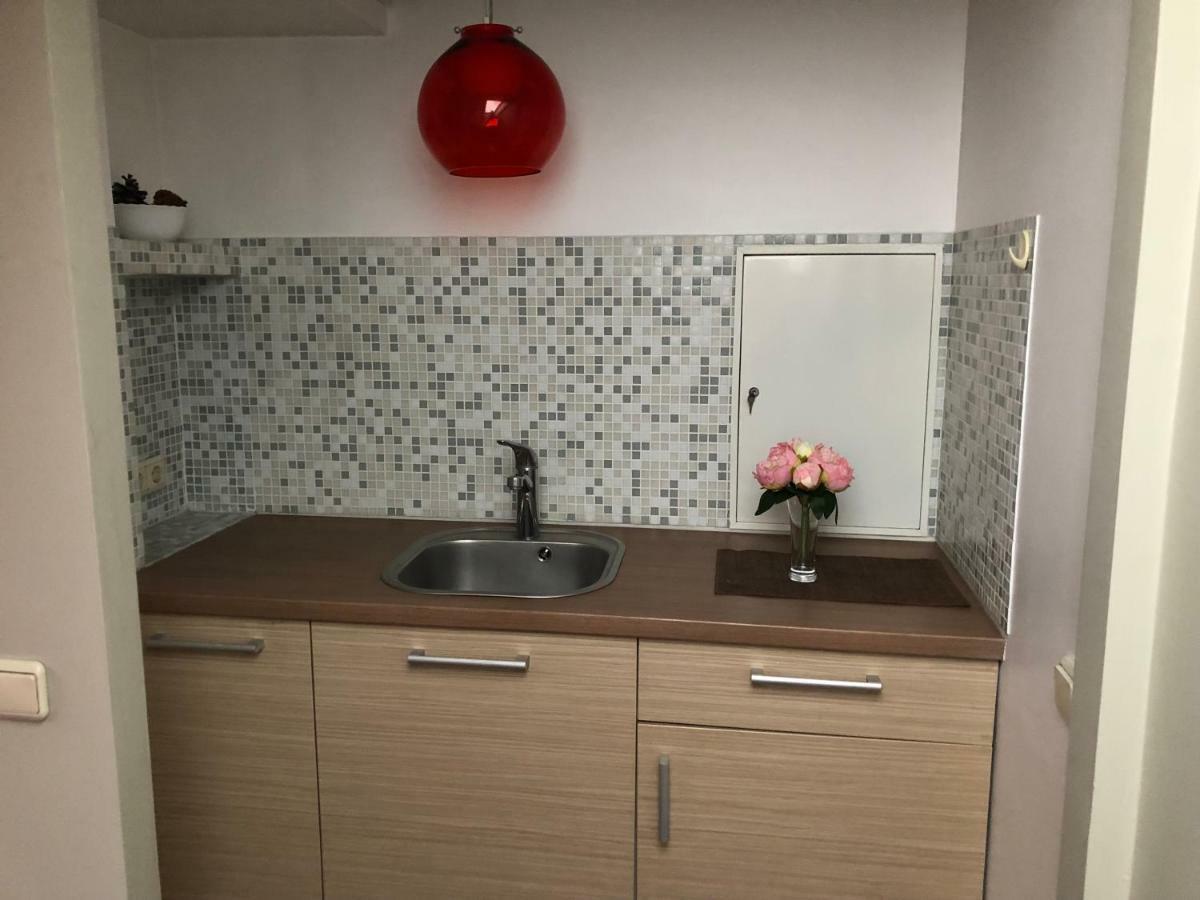 Family Or Group Apartment In Green Center Riga Buitenkant foto